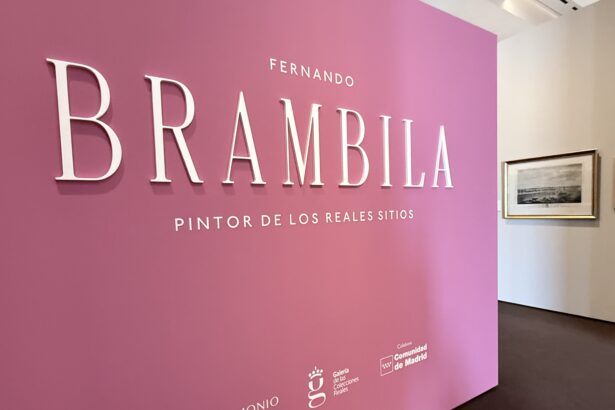 Exposición Brambila ©Cristina Gala